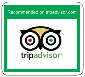 Trip Advisor